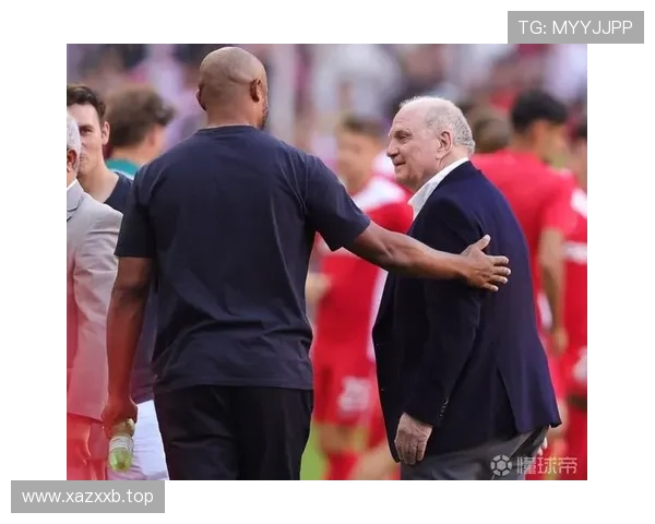 赫内斯批评裁判表现差：仅是个人观点